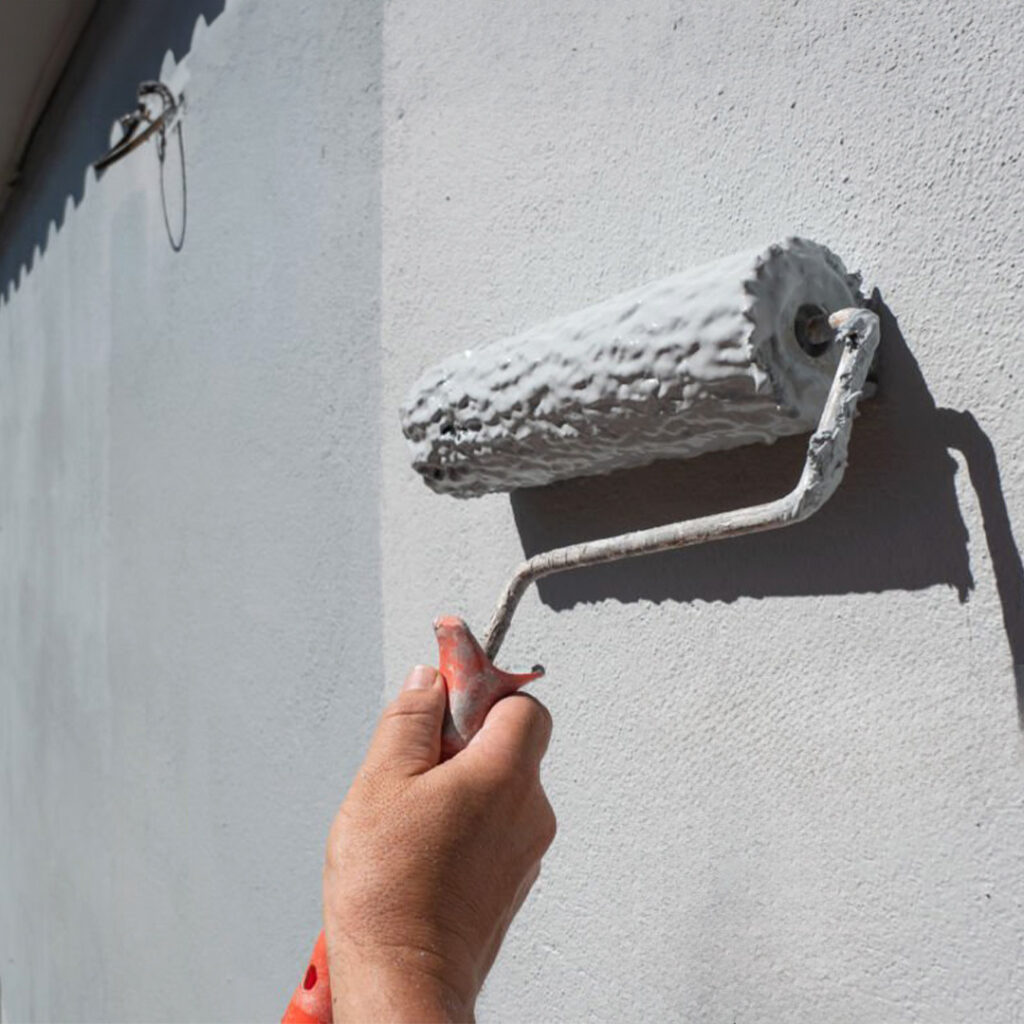 Rodillo con Pintura Ecológica